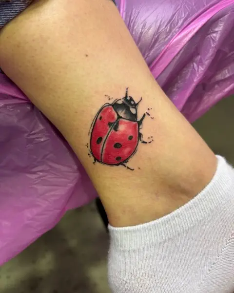 Watercolor ladybug tattoo